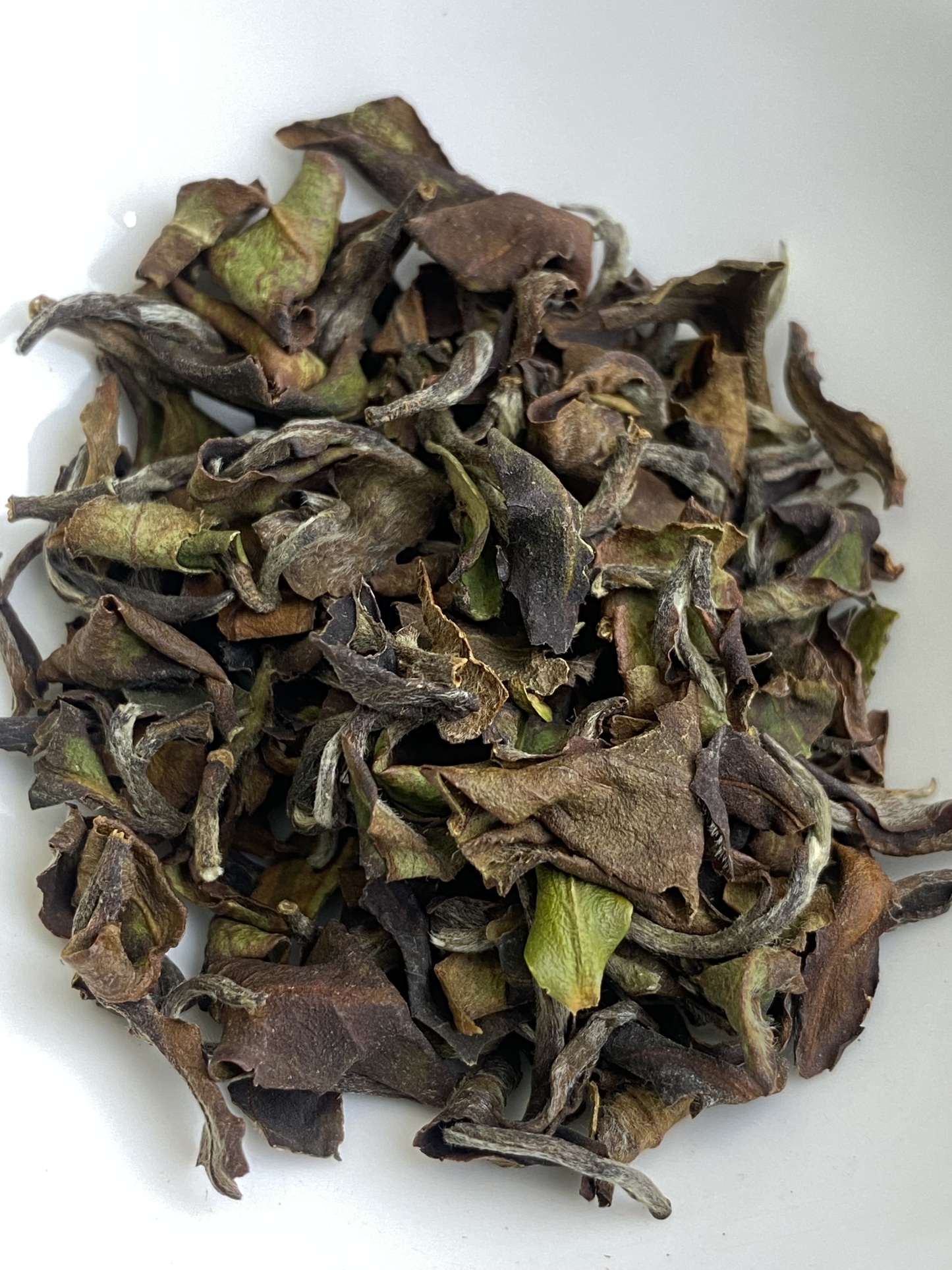 Flower with Explosively  seductive - 花艷