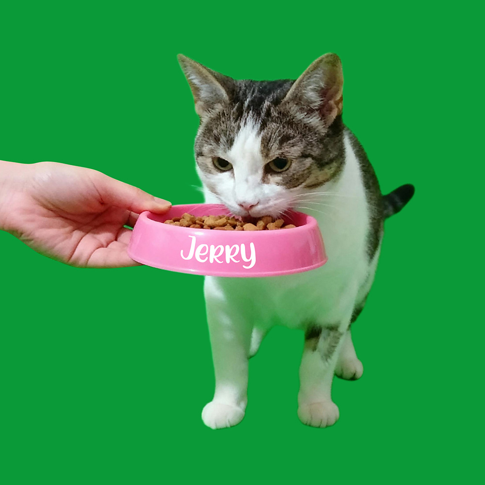 مشاهد التغذية (بما في ذلك 40 ثانية/60 ثانية) - 