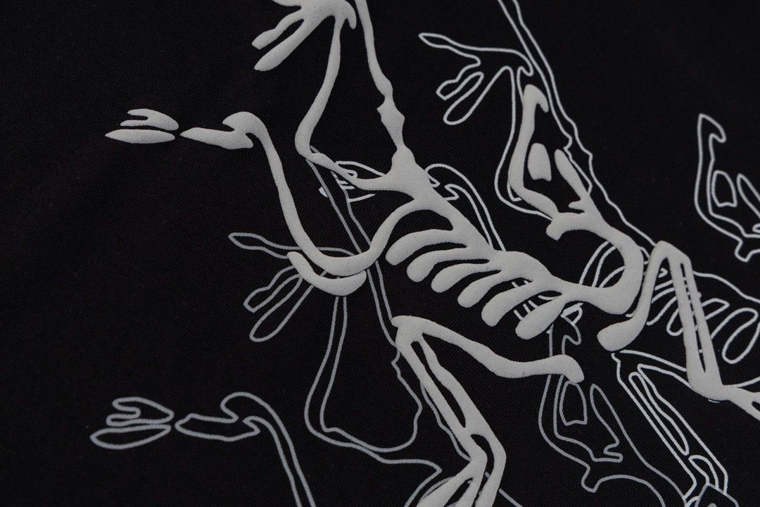 ARC’TERYX＊プリントロゴグラフィック 24SS Tシャツ ユニセックス