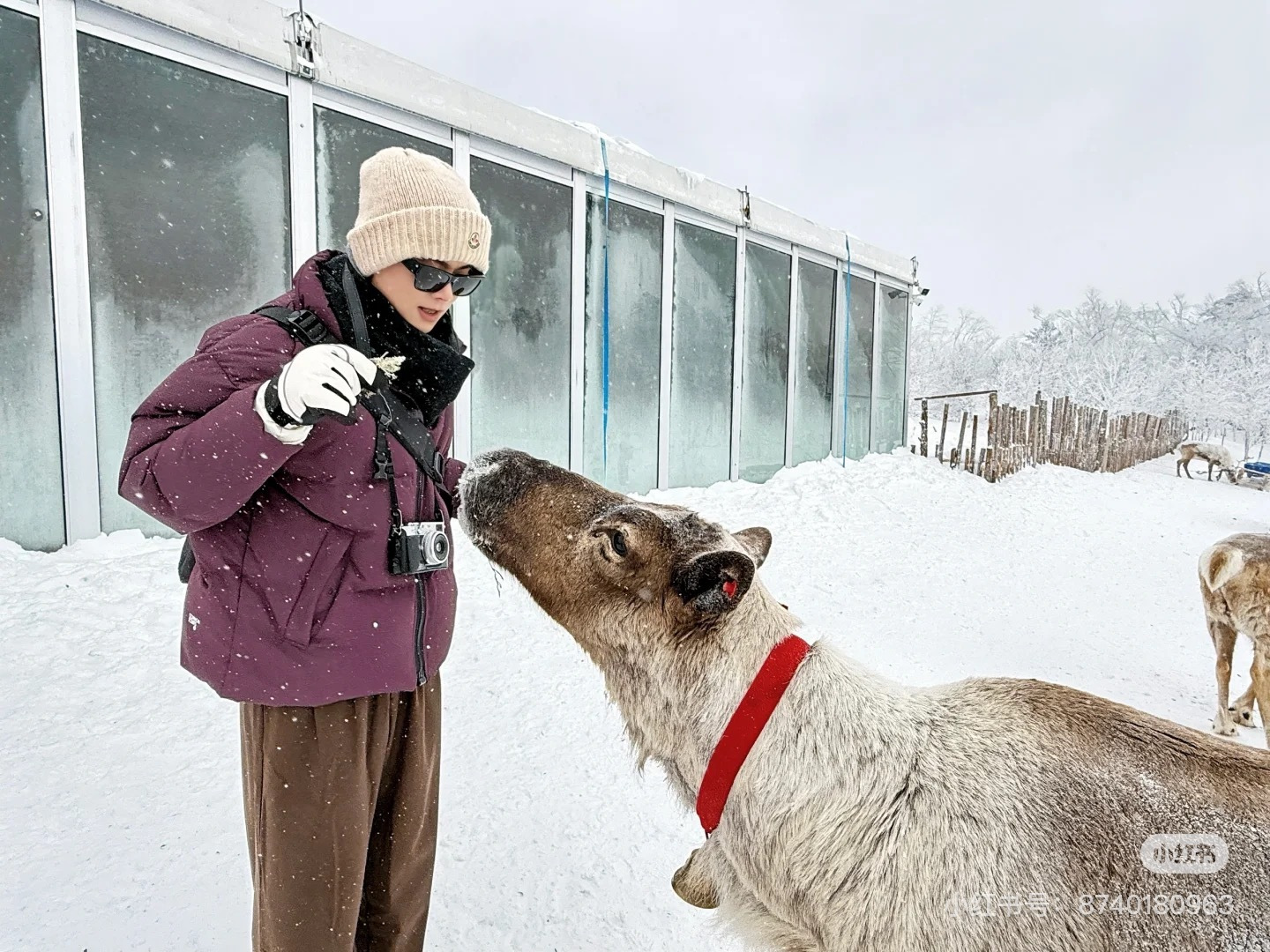 モンクレール新作 フォックスファーボール付きニット帽 Moncler