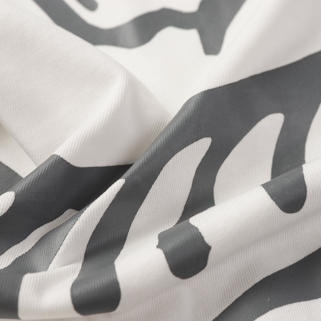 ARC’TERYX＊ロゴグラフィック ENVOY BIRDMARK T-SHIRT 24SS Tシャツ