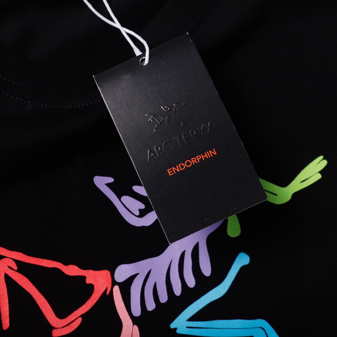 ARC’TERYX ロゴ ショートスリーブENDORPHIN 2024SS Tシャツ 2色