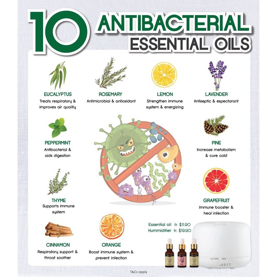 Gadget MIX DIGINUT Essential Oils Collection/120ml Aromatherapy/100% Natural Botanical Extracts/Water Soluble