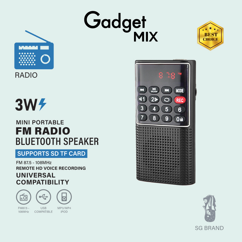 Gadget Mix Diginut BM-01 Portable FM Radio Mini Digital Speaker USB Rechargeable Compact Black