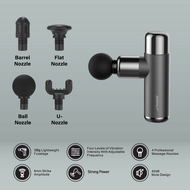 Diginut MS-10 Metallic Portable Fascia Gun Gray Black