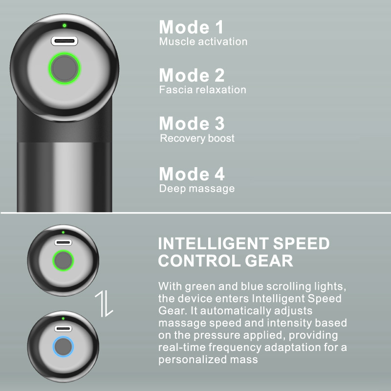 Diginut MS-10 Metallic Portable Fascia Gun Gray Black