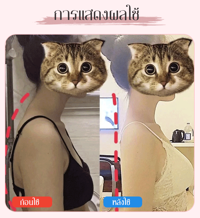 ไม้ดัดหลัง ปรับสรีระ ป้องกันหลังค่อม