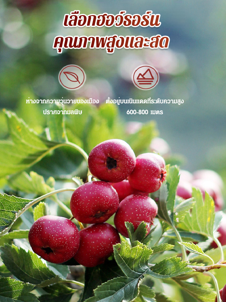 ฮอว์ธอร์นอบแห้งไร้หินผลไม้