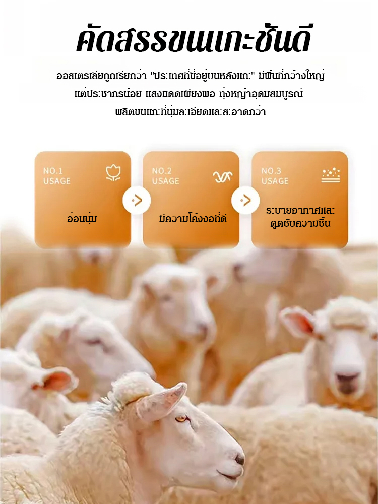 ปลอกขาแคชเมียร์ยาวพิเศษอบอุ่น