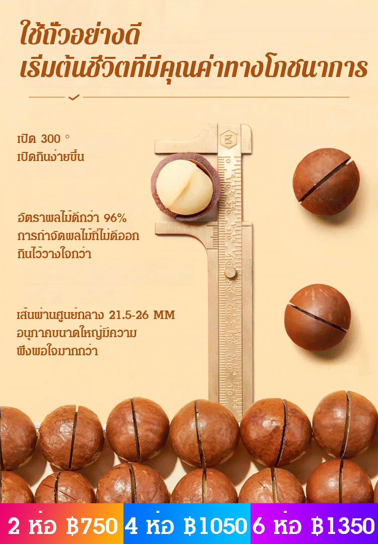 【ราชาแห่งผลไม้พันชนิด】ถั่วแมคคาเดเมียอบด้วยอุณหภูมิต่ำ