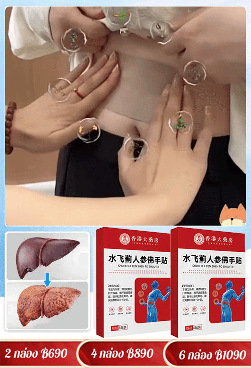 【รุ่นทรงพลัง!】แผ่นแปะบำรุงตับด้วยสารสกัดจากมิลค์ทิสเทิลและส้มมือ