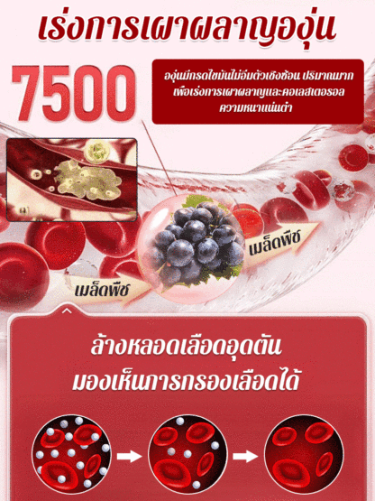 【เมล็ดองุ่นราชินีนีน่ามีกลิ่นหอมของไวน์】