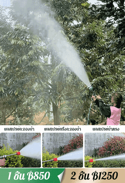 【นำเข้าจากเยอรมัน】ปืนฉีดน้ำแรงดันสูง