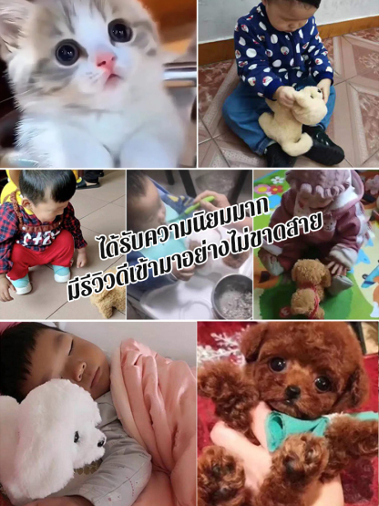 ตุ๊กตาหุ่นยนต์ มีให้เลือกหลายแบบ