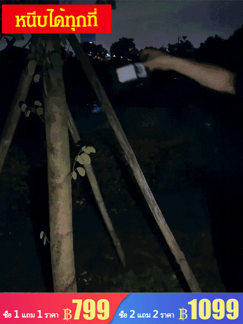 ไฟโซล่าเซลล์แบบหนีบ