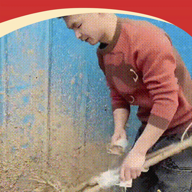 เมล็ดเชอร์รี่ชิลีนำเข้าทั้งหมด