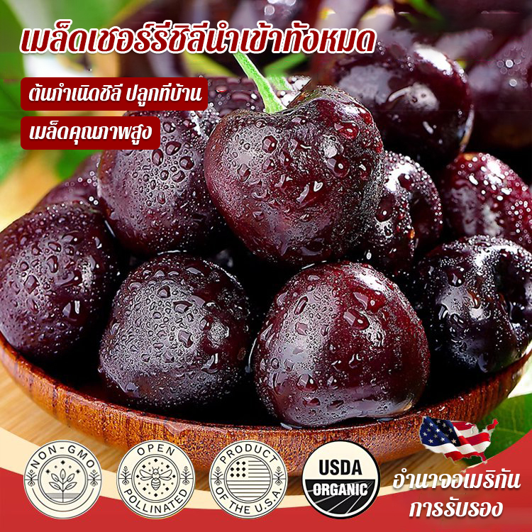 เมล็ดเชอร์รี่ชิลีนำเข้าทั้งหมด