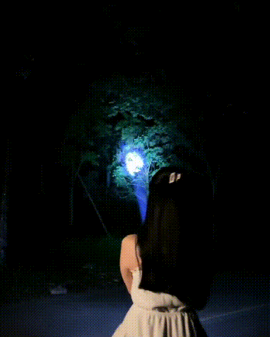 翻译_22.gif