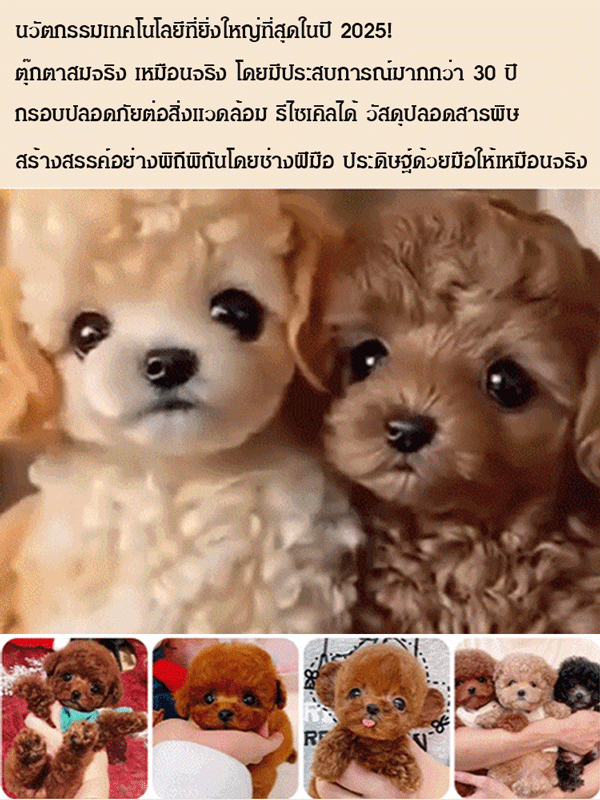 ตุ๊กตาหุ่นยนต์ มีให้เลือกหลายแบบ