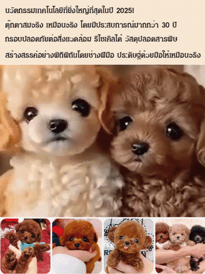 ตุ๊กตาหุ่นยนต์ มีให้เลือกหลายแบบ