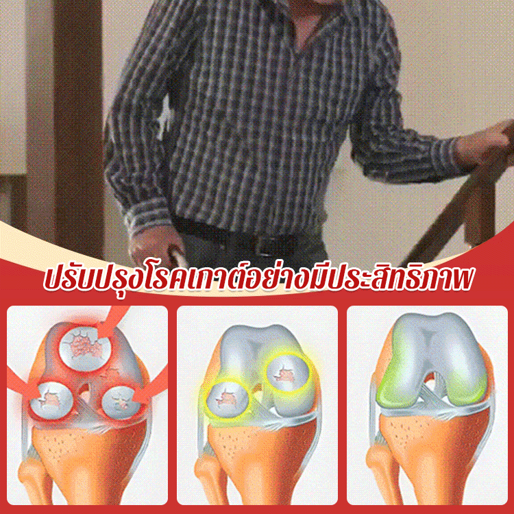 เมล็ดเชอร์รี่ชิลีนำเข้าทั้งหมด