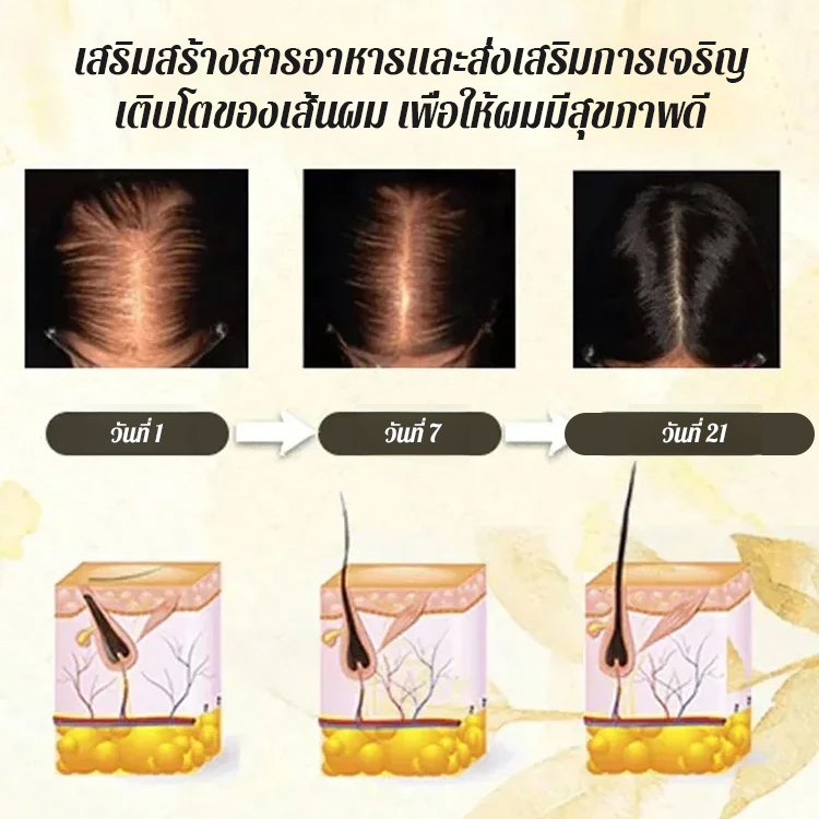 เอสเซนส์ลูกกลิ้งป้องกันผมร่วงและเสริมสร้างเส้นผม