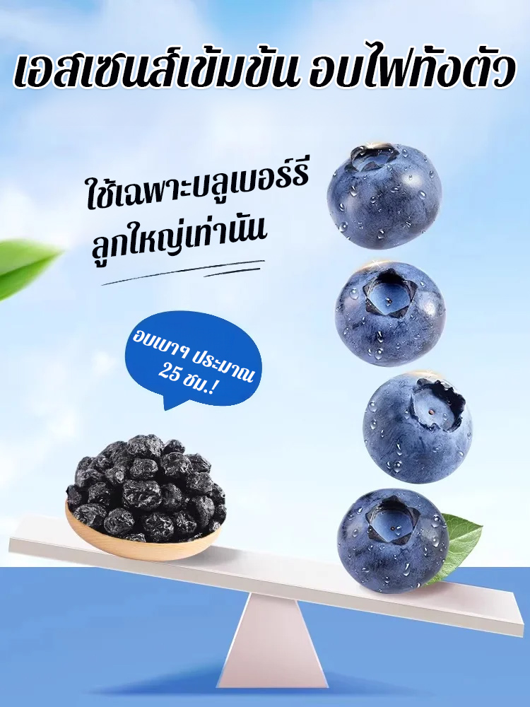 【ไต้หวัน】บลูเบอร์รี่อบแห้งเกรดพรีเมียมไม่มีน้ำตาล