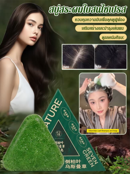 สบู่สระผมใบสนไซเปรส