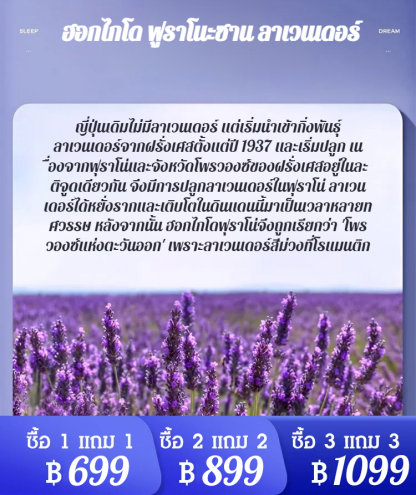 สเปรย์ลาเวนเดอร์สลีปช่วยให้จิตใจและร่างกายผ่อนคลายและคลายความวิตกกังวล