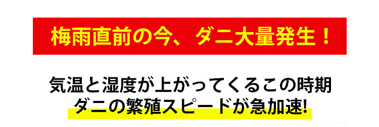 Z_18.jpg