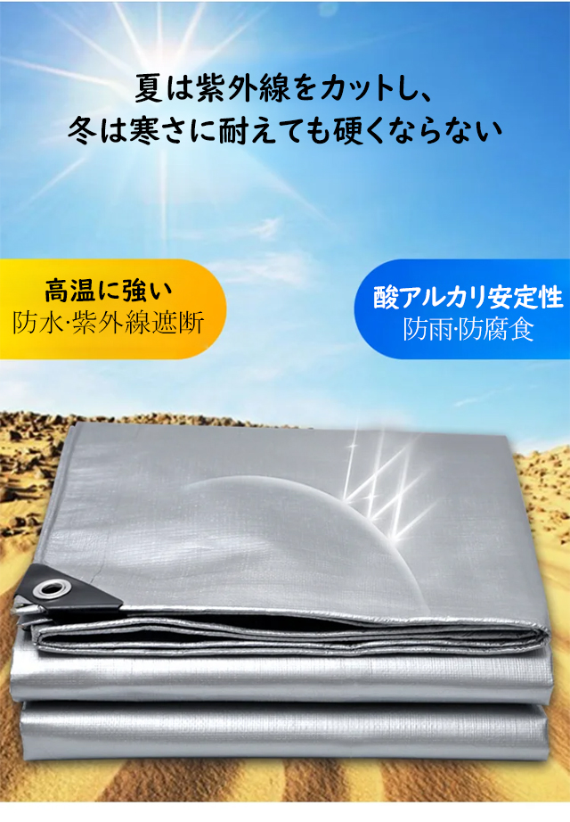 未标题-1_11.jpg