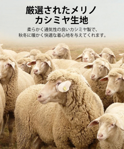 レイヤード風スニットシャツ