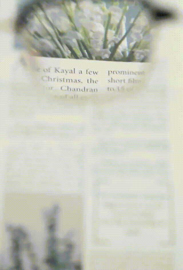 Honeycam-2025-02-19-13-40-08.gif