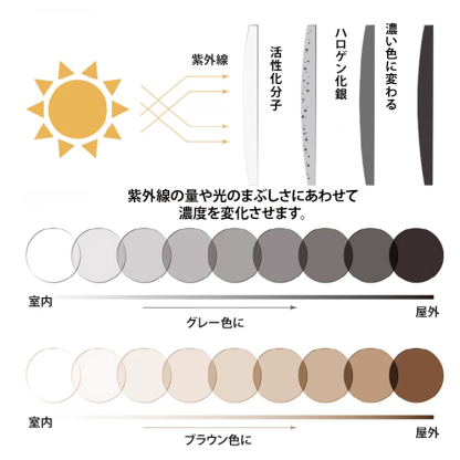 ウェリントン型シニアグラス