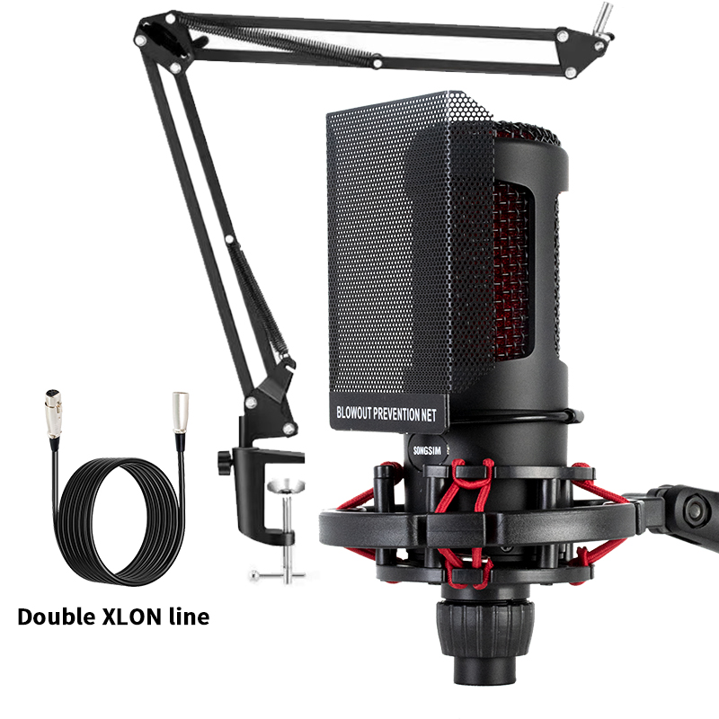 Professional Cardioid Studio Mic Kit