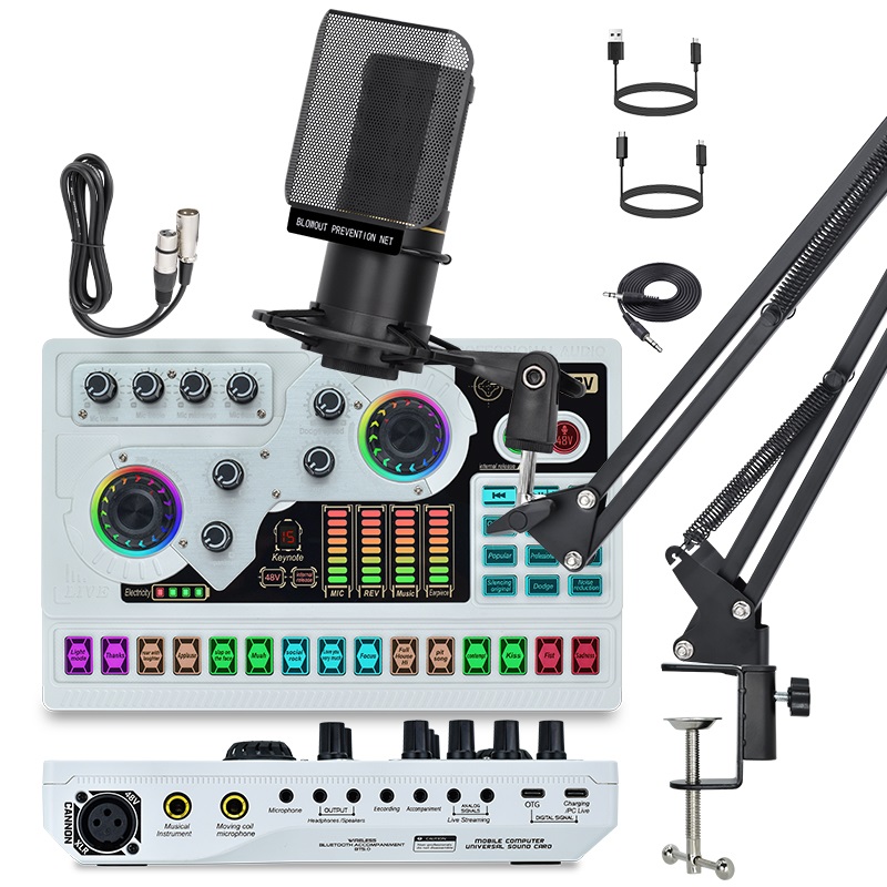 ZX320+SX96 Condenser Microphone Bundle, Live Sound Card, Adjustable Boom Arm, Shock Mount, Metal Mic Pop Filter, Earphone, Audio Cables and Power Cable