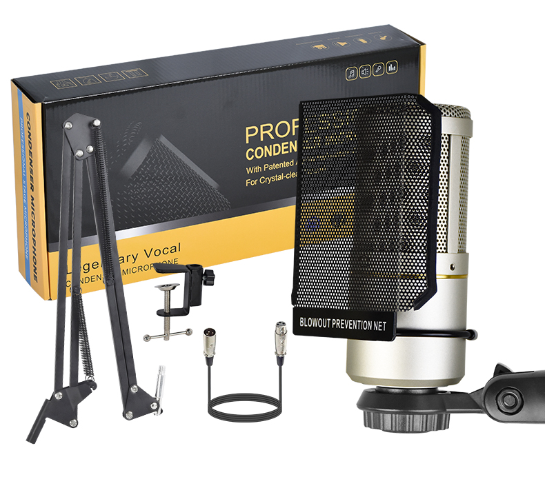 XLR Condenser Microphone, Professional Cardioid Studio Mic Kit with Boom Arm, Shock Mount, Pop Filter for Recording, Podcasting, Voice Over, Streaming, Home Studio, YouTube