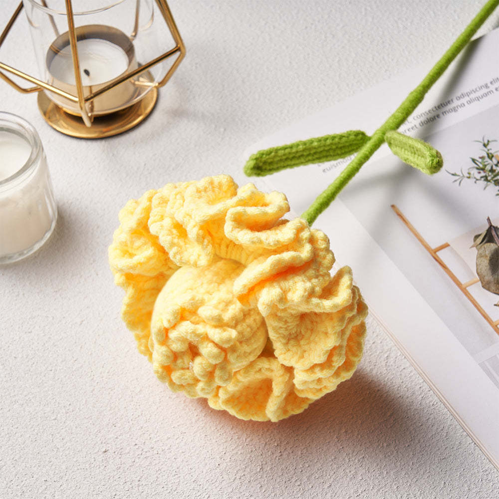 Carnation Fairy Crochet Doll Flower Handmade Knitted Flower Gift for Lover	 - FaceSocksUSA