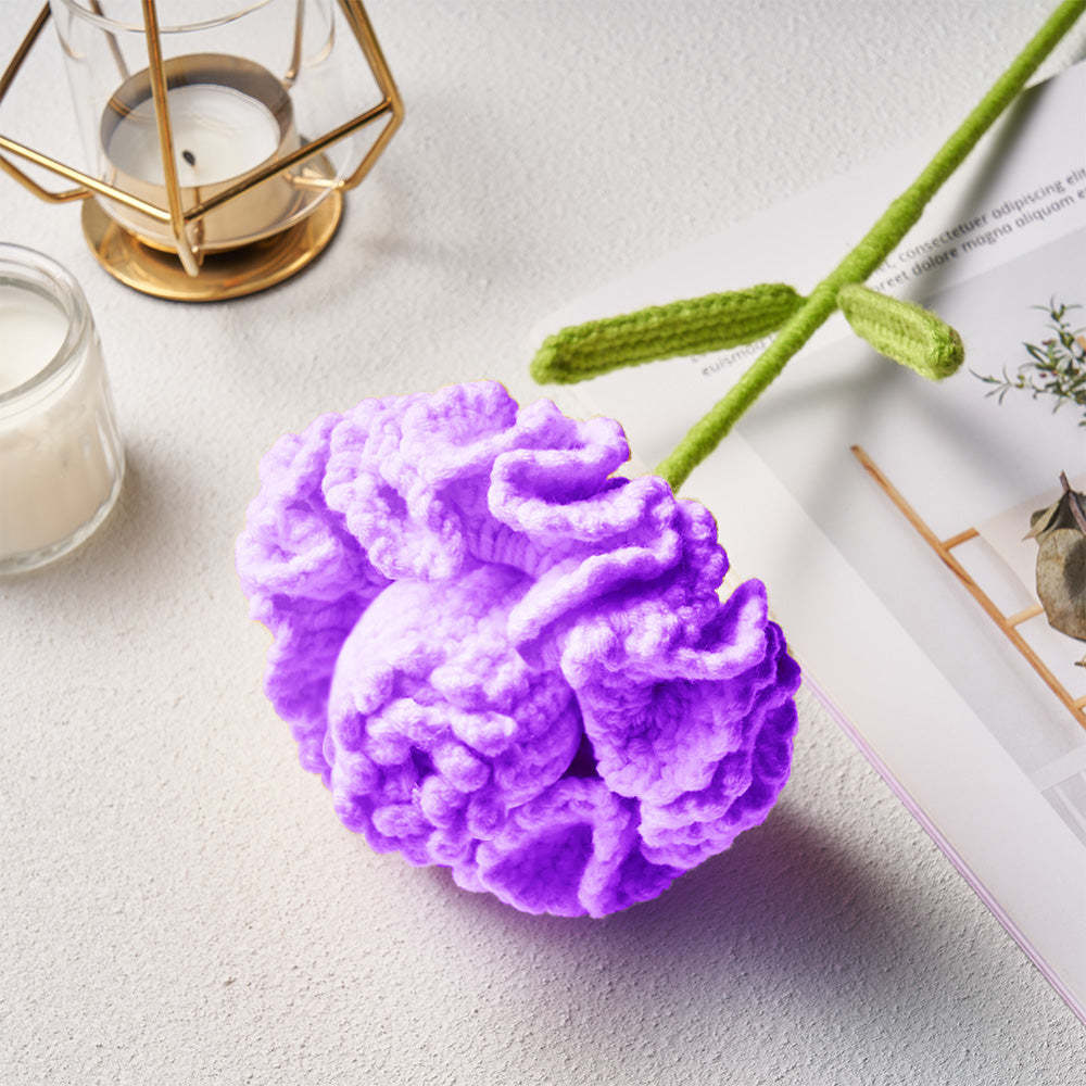 Carnation Fairy Crochet Doll Flower Handmade Knitted Flower Gift for Lover	 - FaceSocksUSA