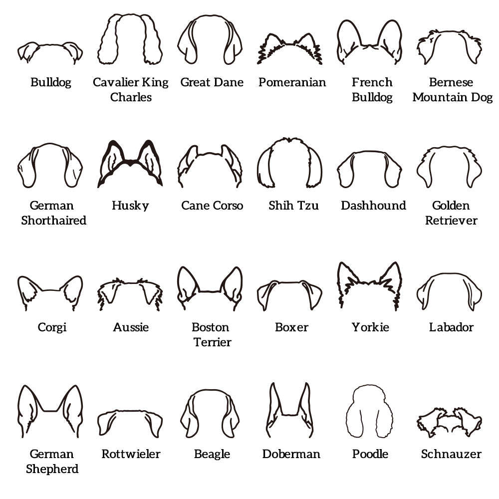 Custom Dog Ear Sweatshirt Personalized Embroider Dog Hoodie Gift for Dog Lovers	 - FaceSocksUSA