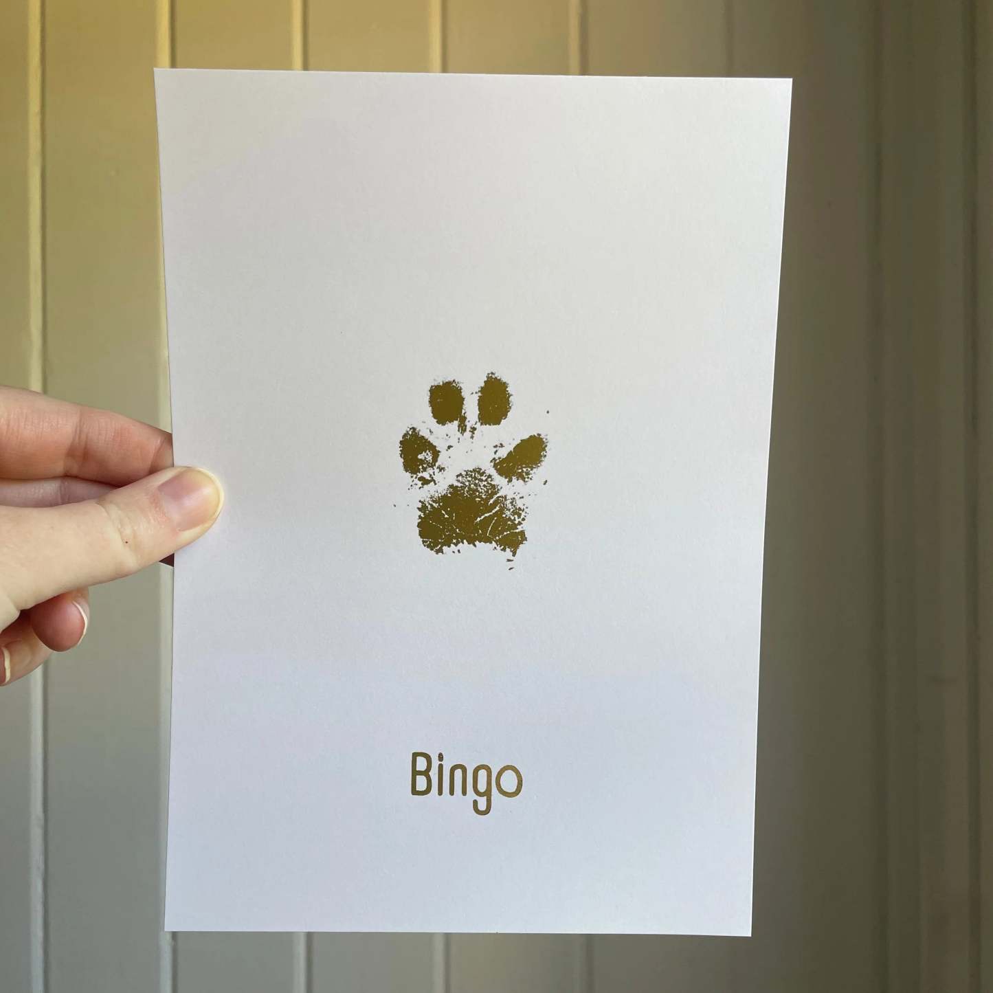 Paw Print Gold Foil - FaceSocksUSA