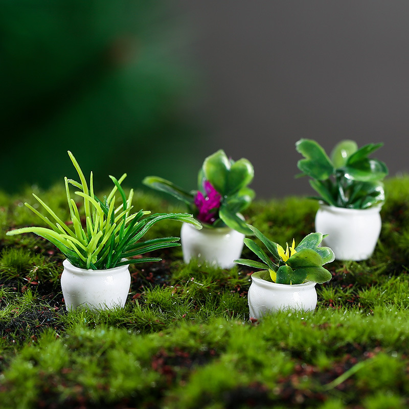 Mini Jardinières (lot De 4) - Mug Personnalisé