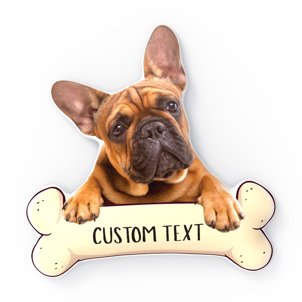 Custom Photo Pillows