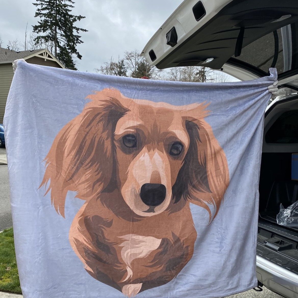Custom Dog Blankets Personalized Pet Photo Blankets