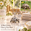Personalized 3D Pet Photo Necklace Custom 925 Sterling Silver Russian Tortoise Pendant Jewelry Gift for Pet Mom