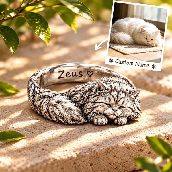 Custom 3D Embossed Sleeping Pet Ring Personalized 925 Sterling Silver Photo Persian Ring Cat Memorial Gift
