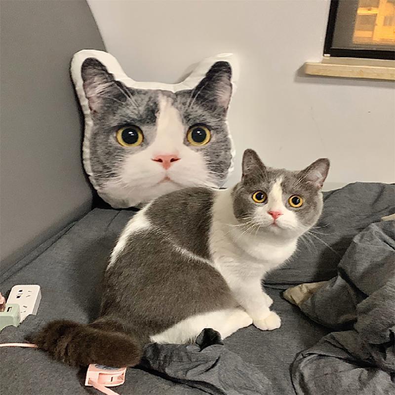 Custom Cat Face Pillow Custom Pet Pillow Pet Shaped Photo Pillow