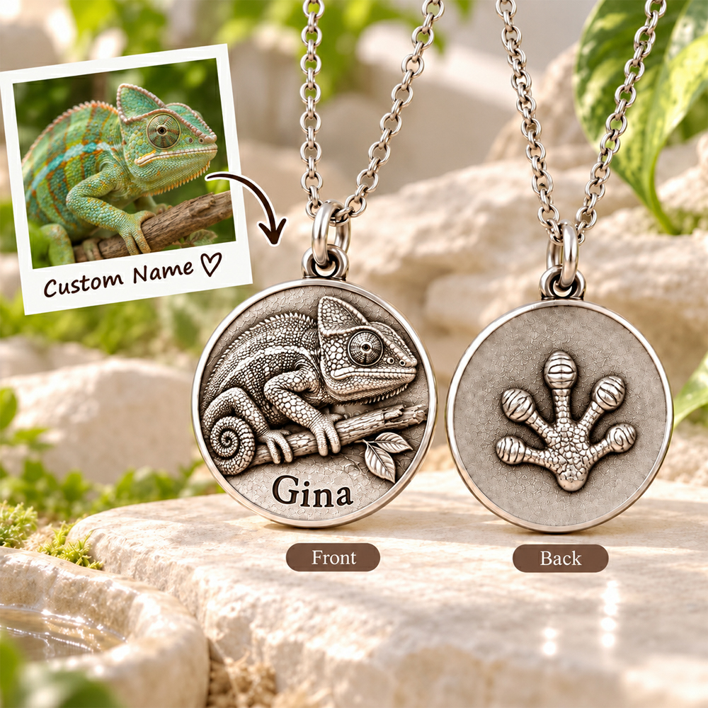Personalized 3D Embossed Horse Coin Photo Name Necklace Custom 925 Sterling Silver Pet Portrait Coin Necklace Gift for Pet Owner
