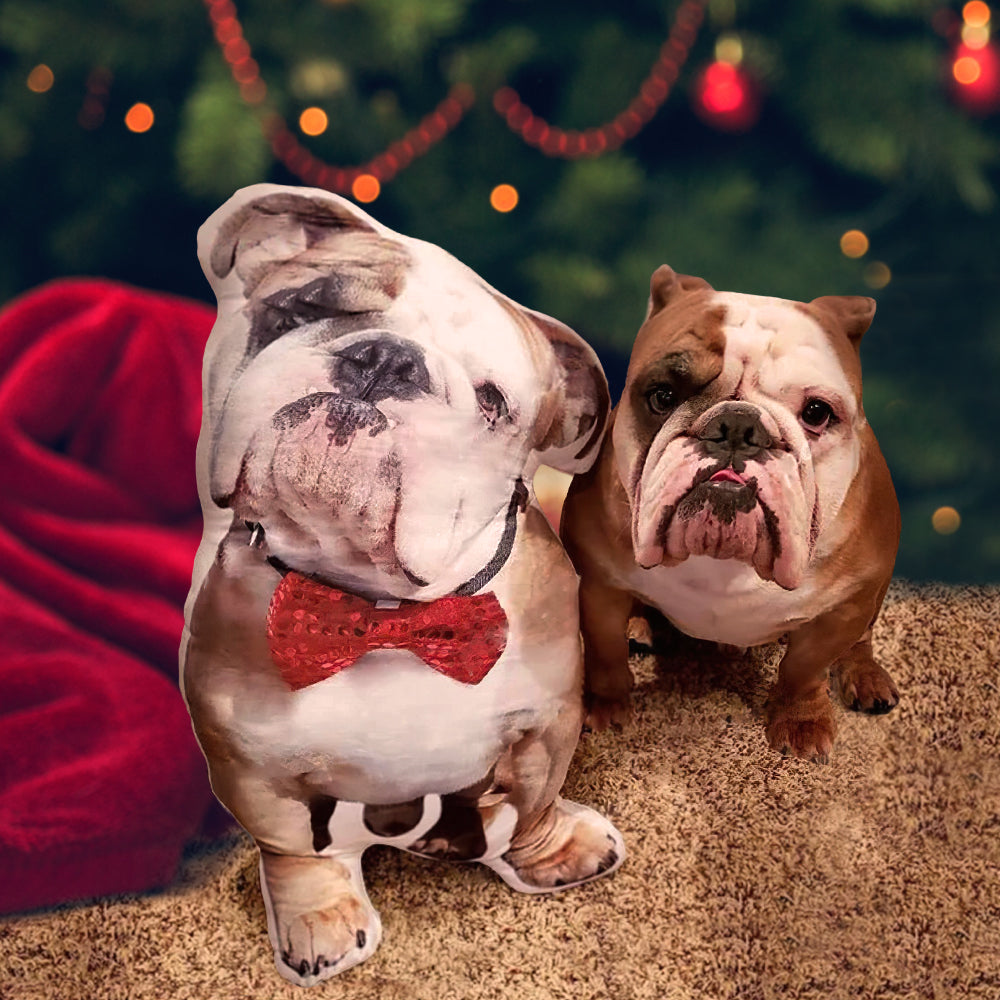 Christmas Gift Personalized Pet Owner Gifts Dog Photo Pillow Custom Pet Pillow for Christmas Gifts