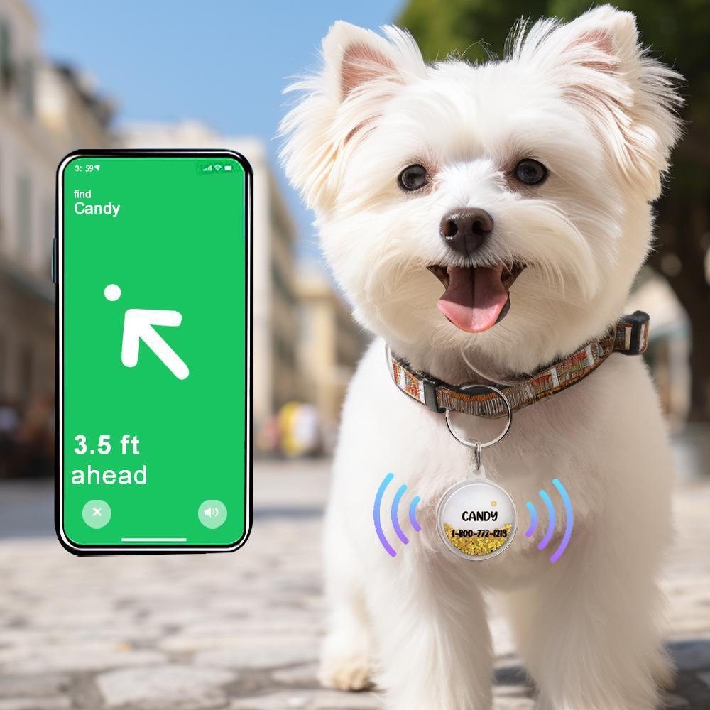 Custom Name Air Tag Holder Quicksand Safe Pet Gift for Pet Owner - PetGiftsCustom